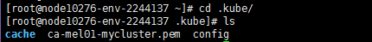 BlueMix免费Kubernetes集群申请使用教程-4GB内存支持Root权限登录管理