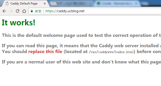 Caddy成功查看web页面