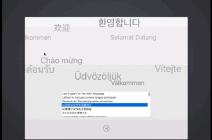 VMware Mac选择中文