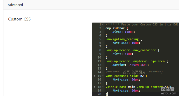 AMP for WP自定义CSS