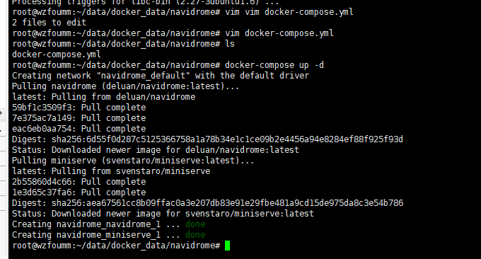 Navidrome安装Docker